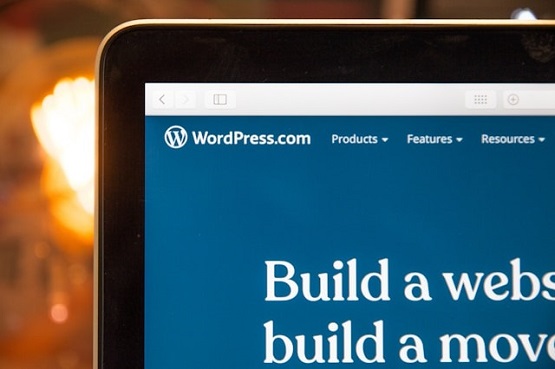 Wordpress Web Design Agency Sydney