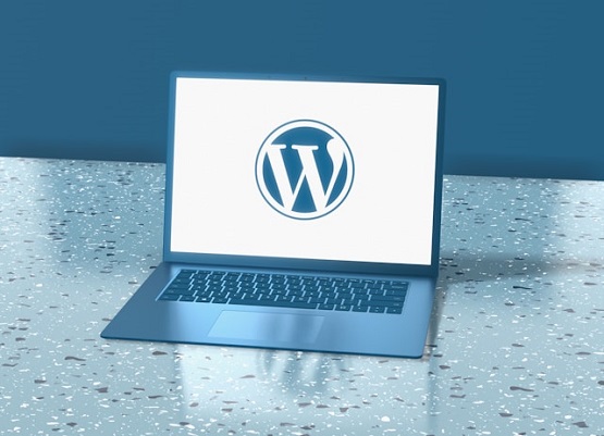 Wordpress Website Design company in Sydney